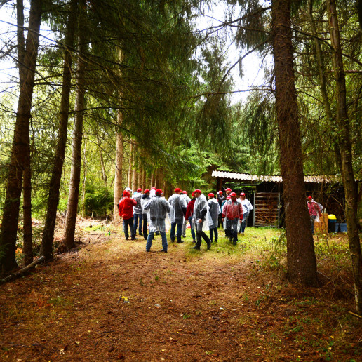 Kaefer Construction 100 Jahre: Eine Gruppe Personen steht an einer Waldhütte, alle haben rote Cappies auf und Regenponchos an.